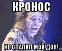 Кронос Не спалил мой док!