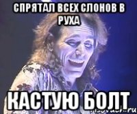 спрятал всех слонов в руха кастую болт