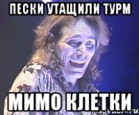 пески утащили турм мимо клетки