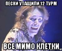 пески утащили 12 турм все мимо клетки
