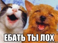 ебать ты лох