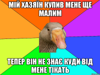 Мій хазяїн купив мене ще малим Тепер він не знає куди від мене тікать