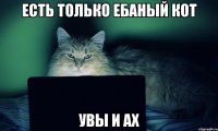 есть только ебаный кот увы и ах