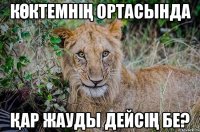 көктемнің ортасында қар жауды дейсің бе?