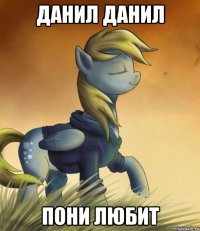 ДАНИЛ ДАНИЛ ПОНИ ЛЮБИТ