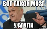 ВОТ ТАКОЙ МОЗГ У Агули