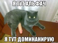 я тут альфач я тут доминанирую