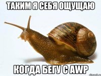 таким я себя ощущаю когда бегу с awp