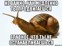 Не важно, как медленно ты продвигаешся главное, что ты не останавливаешься