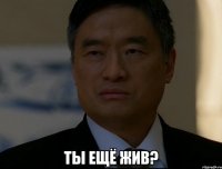  ты ещё жив?
