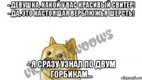 - Девушка, какой у вас красивый свитер! - Да, это настоящая верблюжья шерсть! - Я сразу узнал по двум горбикам...