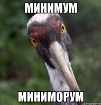 Минимум Миниморум