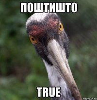 Поштишто True