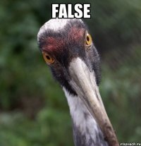 False 