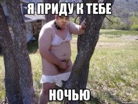 Я приду к тебе ночью