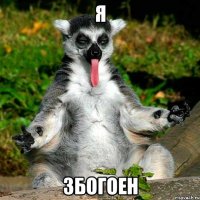 Я збогоен