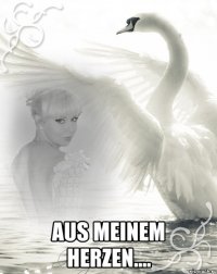  aus meinem Herzen....