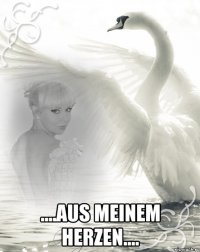  ....aus meinem Herzen....