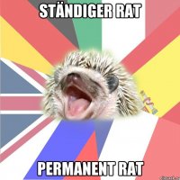 Ständiger Rat Permanent rat