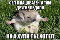 СЕЛ В НАЦИВАГЕН, А ТАМ ДРУГИЕ ПЕДАЛИ НУ А ХУЛИ ТЫ ХОТЕЛ