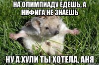 НА ОЛИМПИАДУ ЕДЕШЬ, А НИФИГА НЕ ЗНАЕШЬ НУ А ХУЛИ ТЫ ХОТЕЛА, АНЯ