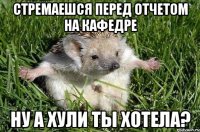 Стремаешся перед отчетом на кафедре Ну а хули ты хотела?