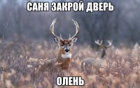 Саня закрой дверь олень
