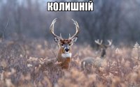колишній 