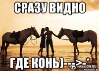 сразу видно где конь)--->-*
