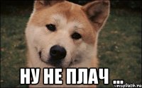  ну не плач ...