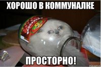 ХОРОШО В КОММУНАЛКЕ ПРОСТОРНО!