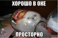ХОРОШО В ОКЕ ПРОСТОРНО