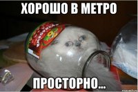ХОРОШО В МЕТРО ПРОСТОРНО...