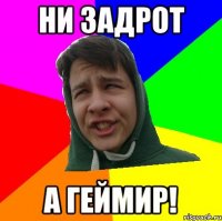 НИ ЗАДРОТ А ГЕЙМИР!