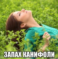  Запах канифоли