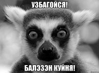 Узбагойся! Балэзэн куйня!