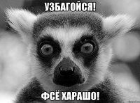 Узбагойся! Фсё харашо!