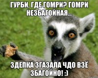 Гурби, где Гомри? Гомри незбагойная... Здепка згазала чдо взё збагойно! :)