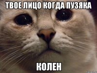 твое лицо когда пузяка колен