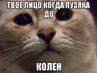твое лицо когда пузяка до колен