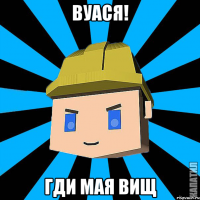 ВУАСЯ! ГДИ МАЯ ВИЩ