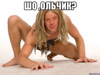 Шо ,Ольчик? 