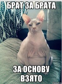 брат за брата за основу взято