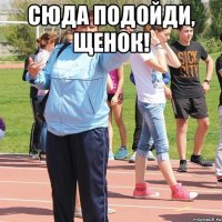 Сюда подойди, щенок! 