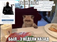 ты уволен был... 3 недели назад