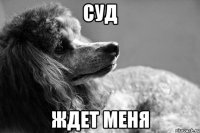 суд ждет меня