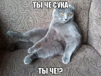 Ты че сука Ты че!?