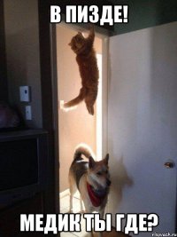 в пизде! Медик ты где?