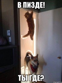 в пизде! ты где?