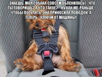 - Знаешь, моя собака совсем обленилась! - Что ты говоришь? А что такое? - Ну как же. Раньше, чтобы погулять, она приносила поводок, а теперь - ключи от машины! 
